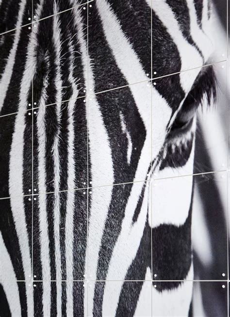 ixxi zebra wanddecoratie    cm grijs de bijenkorf zebras bijenkorf