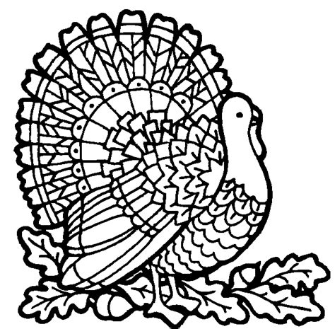 turkey coloring  animal coloring pages sheets turkey