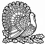 Turkey Coloring Pages Color Animal Print Back sketch template