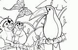 Coloring Pages Rainforest Amazon Animals Choose Board sketch template