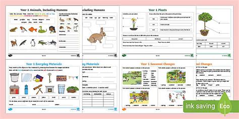 year  science revision activity mat pack teacher