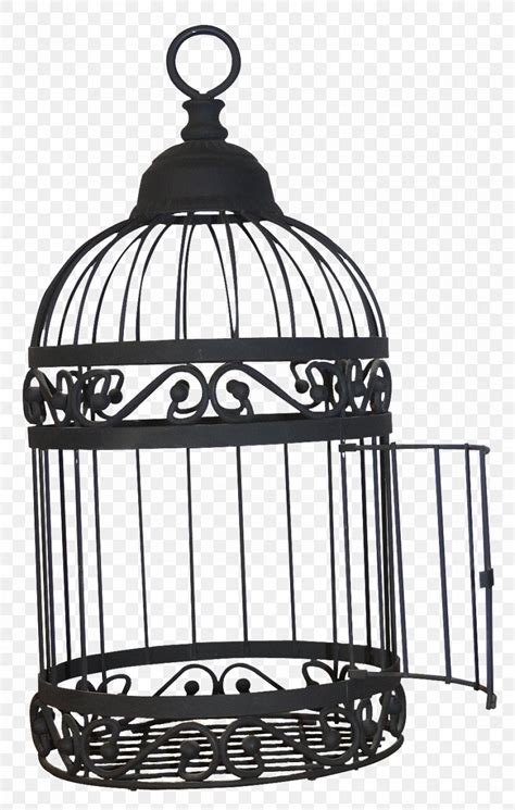 birdcage domestic canary png xpx bird animation birdcage black  white cage