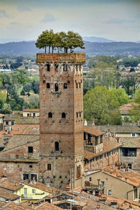 lucca italy  great outdoors pinterest