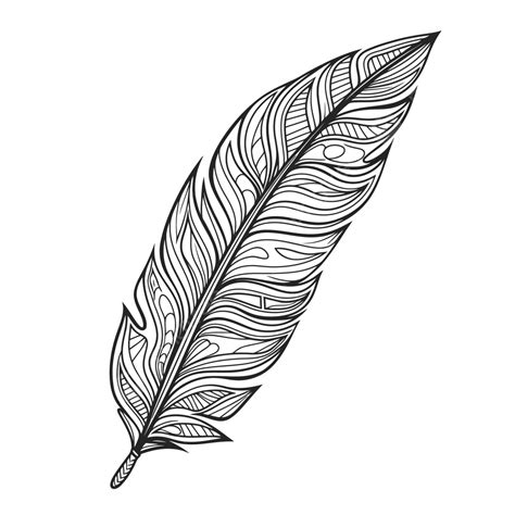 feather   black outline sketch drawing vector easy feather