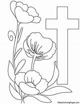 Cross Poppy Coloring Pages sketch template