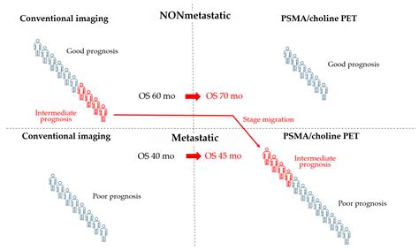 Cancers Free Full Text Apalutamide Darolutamide And Enzalutamide