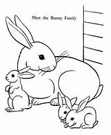 Bunny Coloring Easter Pages Bunnies Family Sheets Activity Rabbits Kids Printable sketch template