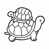 Tortoises sketch template