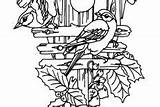 Coloring Bird Pages House Flower Garden sketch template