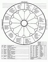 Astrology Chart Zodiac Astrological Blank Numerology Signs Houses Birth Charts Cheat Natal Wheel Worksheets Horoscope House Fire Sheets Learn Wheels sketch template