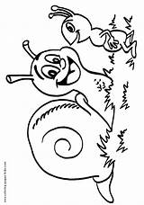 Snail Coloring Pages Color Printable Snails Kids Ant Animal Drawing Sheet Getdrawings Designlooter Sheets Found sketch template