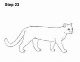 Margay sketch template