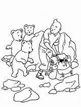 Tintin Coloring Pages Adventures Kids Bears Family Colouring Tibet Kuifje Books Fun Color Printable Site Coloring2print Categories Similar sketch template