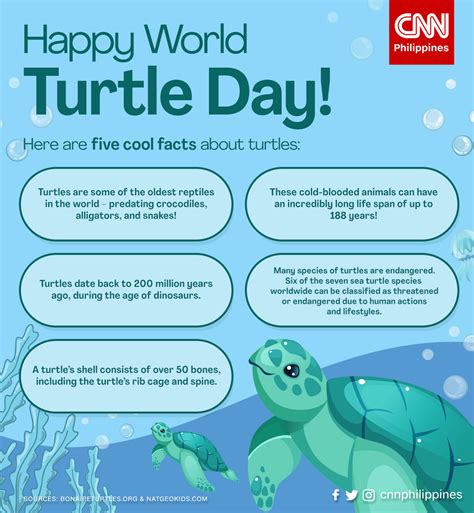 Cnn Philippines Today Is World Turtle Day 🐢 Here Are Facebook