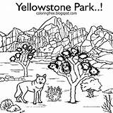 Coloring Park Pages National Yellowstone Printable Drawing Color Hilltop Getcolorings Getdrawings Template sketch template