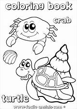 Crabe Tortue Anglais sketch template
