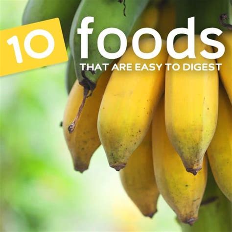 10 easily digestible foods 5 difficult ones