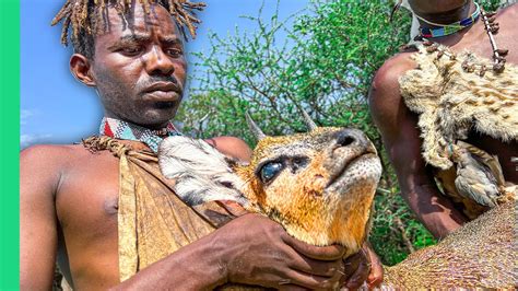 hunting  eating rare african animals   hadza tribe win