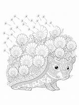 Hedgehog Zentangle sketch template