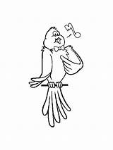 Coloring Canary Pages Bird Singing Popular Coloringhome sketch template