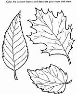 Maple Leaf Coloring Colorear Para Getcolorings Pagina sketch template