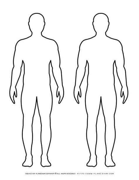 male body outline  males planerium
