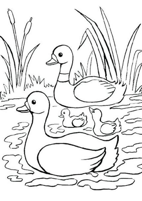easy  print duck coloring pages tulamama