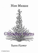 Mexico Flower State Coloring Flowers Drawing Yucca Choose Board Pages sketch template