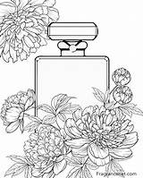 Fragrancenet Masterpieces sketch template