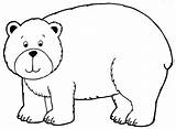 Bear Polar Outline Drawing Getdrawings sketch template