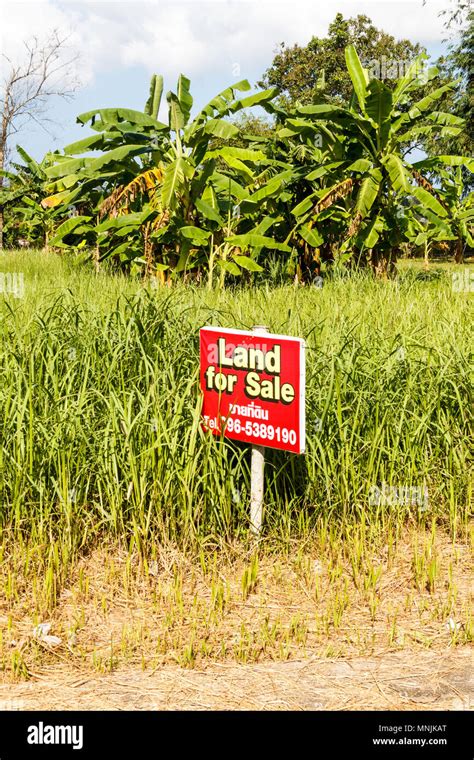 land  sale sign phuket thailand stock photo alamy