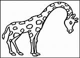 Giraffe Coloring Kids Drawing Pages Printable Getdrawings Paintingvalley sketch template