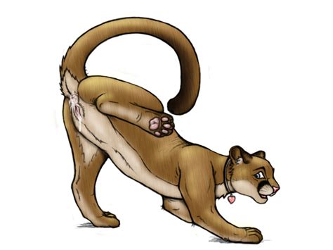 rule 34 after sex anus blue eyes collar cougar feline female feral heart hindpaw kisu lion