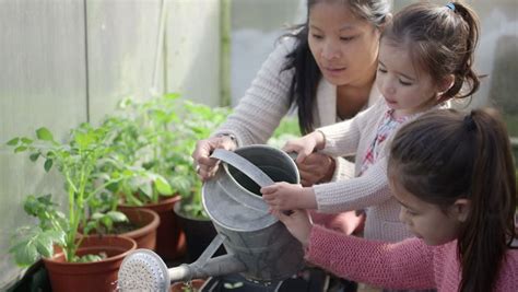 mother teaching daughters in greenhouse stock footage video 4207060 shutterstock