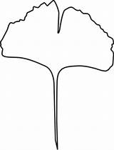 Leaf Ginkgo Clip Clipart Outline Leaves Gingko Tree Line Shape Cliparts Coloring Svg Template Clker Maple Oak Evolution Vector Clipartbest sketch template