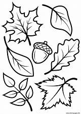 Nature Coloring Fall Leave Pages Printable Print sketch template