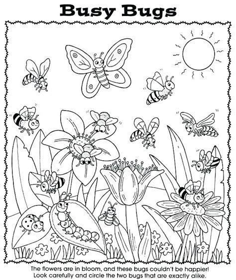 bugs coloring pages preschool  getdrawings