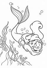 Sirenita Pintar Ariel sketch template