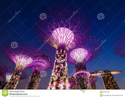 Supertree At Gardens By The Bay In Singapore Editorial