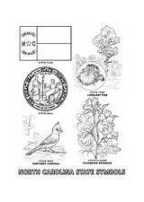 Carolina North State Coloring Symbols Printable Pages Bird Printables History Flag Visit Geography Map Homeschooling Economics Studies Maps Social American sketch template