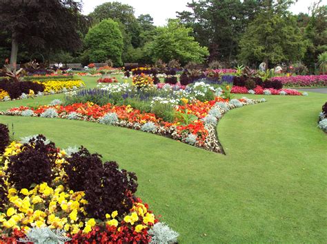 amazing garden   colorful flowers