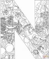 Coloring Letter Pages Printable Supercoloring Plants Through sketch template