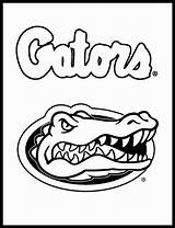 Gators Gator Uf Georgia Bulldog Fla Bulldogs Mascot Field Wickedbabesblog Crocodiles Sketchite sketch template