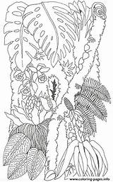Coloring Umbrella Brett Jan Pages Tree Trunk Mural Printable Adults Adult sketch template