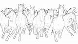 Herd Stampede sketch template