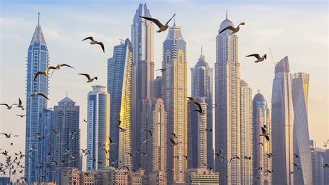 architecture building skyscraper cityscape united arab emirates dubai birds flying