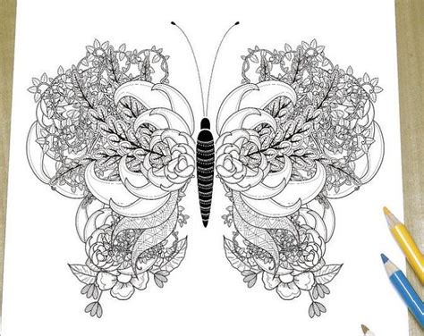 pin  insects colouring pages