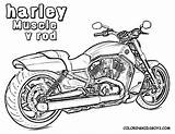 Harley Davidson Coloring Pages Hot Rod Print Printable Kids Adult Logo Drawings Motorcycle Detailed Book Line Cars Rat Color Google sketch template