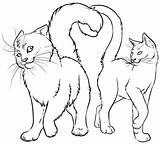 Warrior Cats Coloring Pages Silverstream Stripe Gray Graystripe Template sketch template