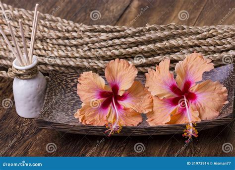 spa concept  hibiscus flower stock photo image  resort bath
